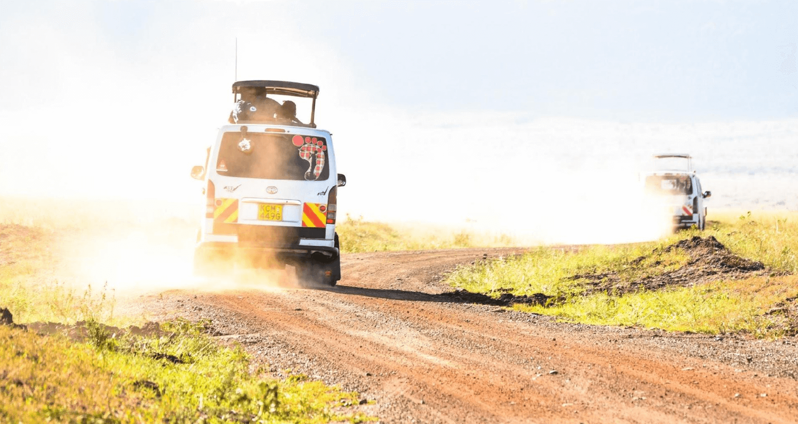 Safari Tour Vans